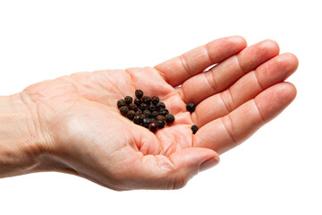 Black Peppercorns Held in Palm. PNG. 