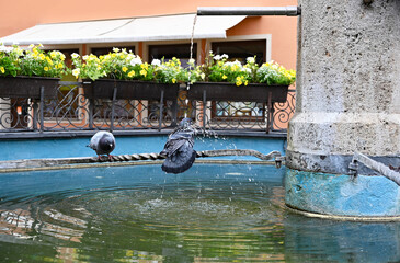 Fototapete bei efototapeten.de bestellen   