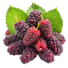 A vibrant cluster of ripe dark purple mulberries with fresh green leaves isolated on transparent background