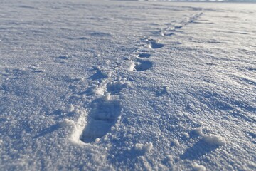 A serene winter landscape featuring a trail of footprints across a pristine, snow-covered field under the soft glow of daylight.