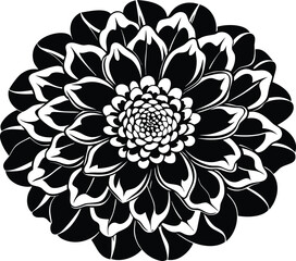 Zinnia flower silhouette, botanical line art, floral vector drawing, garden bloom illustration, minimal plant design