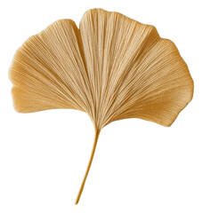 PNG Ginkgo leaf in embroidery style minimalist botanical natural.
