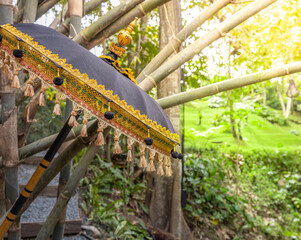 Black umbrella with gold trim is hanging from a tree