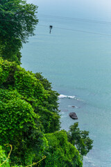 Scenic landscape on Black sea with green exotic trees and bushes in botanical garden, Batumi
