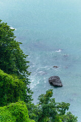 Scenic landscape on Black sea with green exotic trees and bushes in botanical garden, Batumi
