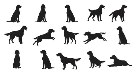 Obraz premium Setter dog silhouettes various poses isolated on a transparent background canine animal