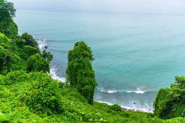 Scenic landscape on Black sea with green exotic trees and bushes in botanical garden, Batumi
