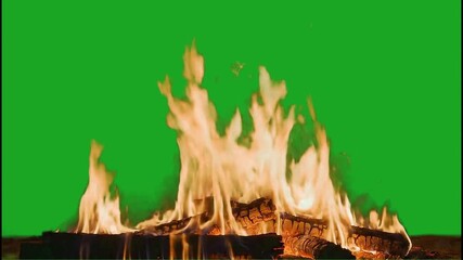 Realistic Campfire Flames Green Screen Fire Overlay Effect - Powered by Adobe
