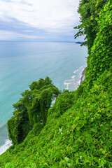Scenic landscape on Black sea with green exotic trees and bushes in botanical garden, Batumi