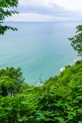 Scenic landscape on Black sea with green exotic trees and bushes in botanical garden, Batumi
