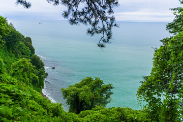 Scenic landscape on Black sea with green exotic trees and bushes in botanical garden, Batumi