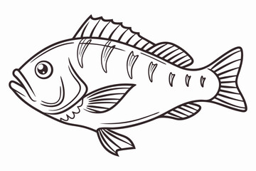 Line Art Drawing of a Fish, Black and White Seafood Illustration