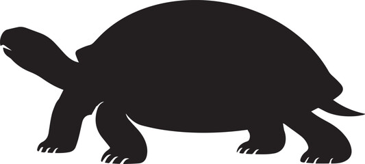 Black turtle walking isolated on white background reptile animal