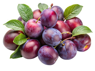 A vibrant pile of ripe juicy plums with fresh green leaves against a stark black background showcasing their natural beauty