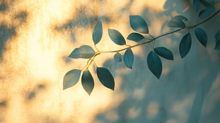 Shadow of leaves on wall with dappled light soft focus and abstract tone ideal for minimalist or peaceful visuals