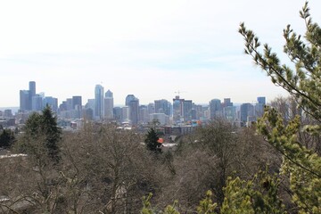 Seattle Skyline View from Volunteer Park on Capitol Hill 