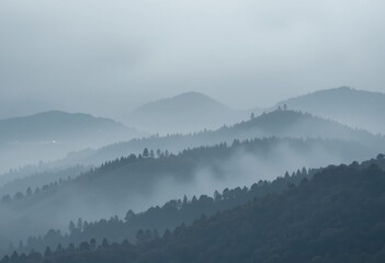 Mountains shrouded in mist with a dense forest covering the slopes