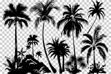 Hand Drawn Tropical Plants Vector Art. Black and white tree vector for Botanical art. trees, tree vector, tree icon, palm forest