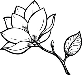 Magnolia flower silhouette, botanical line art, floral vector illustration, elegant plant outline