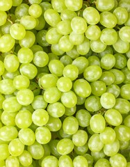 bunch of green grapes