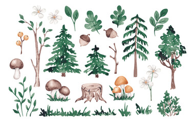 Forest plants clip art hand drawn with watercolor. Isolated on white. Summer woodland nature. Summer nature illustrations. For designing cards, banners, invitations