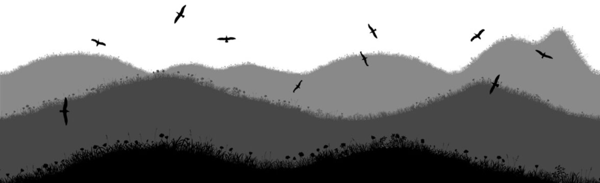 Beautiful monochrome landscape with birds flying in the sky.  Summer field and hills with grass, flowers and ears on it. Isolated illustrations for work and design