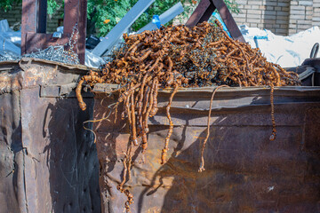Rusty industrial chips after milling and lathe. High quality photo