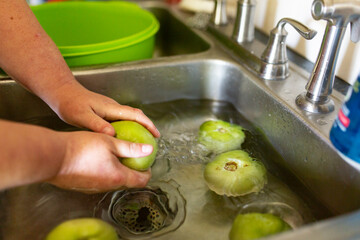 fresh green tomatoes being washed