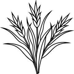 Obraz premium Stylized Black and White Drawing of Wheat Stalks with Leaves grain cereal