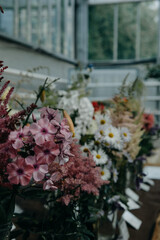 flowers in the garden