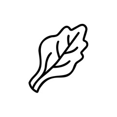 Outline a single endive leaf on vegetable green