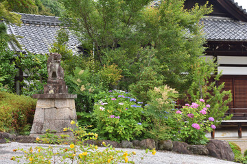 善峯寺のアジサイ