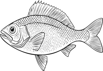 Minimal Fish Line Art - Black and White Outline Illustration