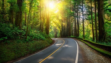 Obraz premium winding road through a vibrant green forest with sunlight filtering through the trees