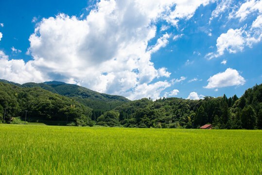 里山の風景」の写真素材 | 57,264件の無料イラスト画像 | Adobe Stock