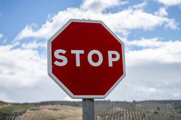 A bold red stop sign standing at a quiet rural crossroads, clearly visible against the open road...