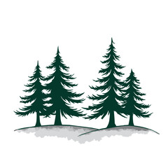 Fototapeta premium Vector postcard templates for nature lovers, Evergreen trees silhouette on transparent background 