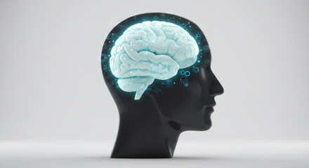 Data Processing and Information within a Neural Network

