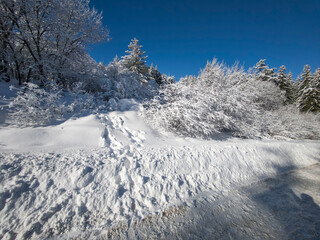 Winter Landscape of Vitosha Mountain, Bulgaria