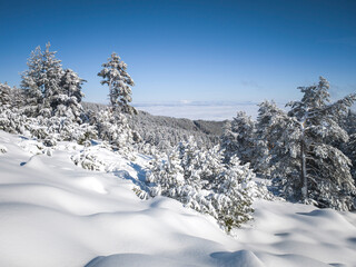 Winter Landscape of Vitosha Mountain, Bulgaria