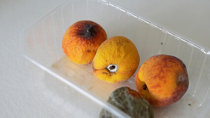 Rotten fruit left in a plastic container