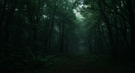 Mysterious dark forest path shrouded in mist, inviting exploration
