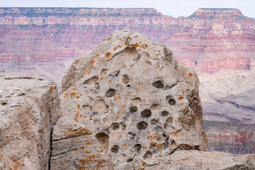 Haloclasty (salt weathering) / Tafoni. Sedimentary rock. Kaibab Limestone / Kaibab Formation. Harrisburg Member or Fossil Mountain Member ? Mather Point, Grand Canyon National Park. Arizona © youli zhao