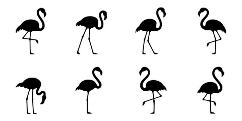 Obraz premium Flamingo Silhouettes: A set of elegant black and white flamingo illustrations showcasing various poses, ideal for design projects.