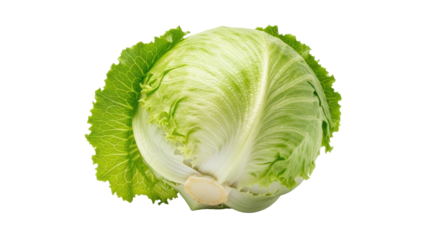 Isolated Iceberg Lettuce