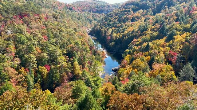 New River Gorge National Park & Preserve Scenic Overview