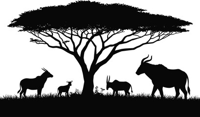 African Antelopes Under Acacia Tree Silhouette in Black and White Style