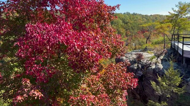 New River Gorge National Park & Preserve Scenic Overview
