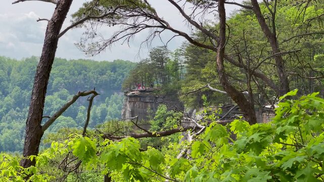 New River Gorge National Park & Preserve Scenic Overview
