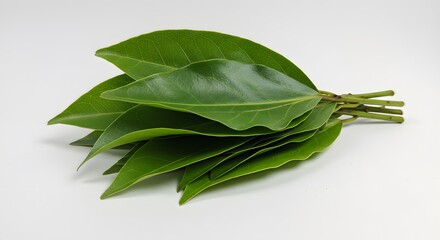 Fresh vibrant green bay leaves tied together on a clean white background perfect for culinary or natural product branding